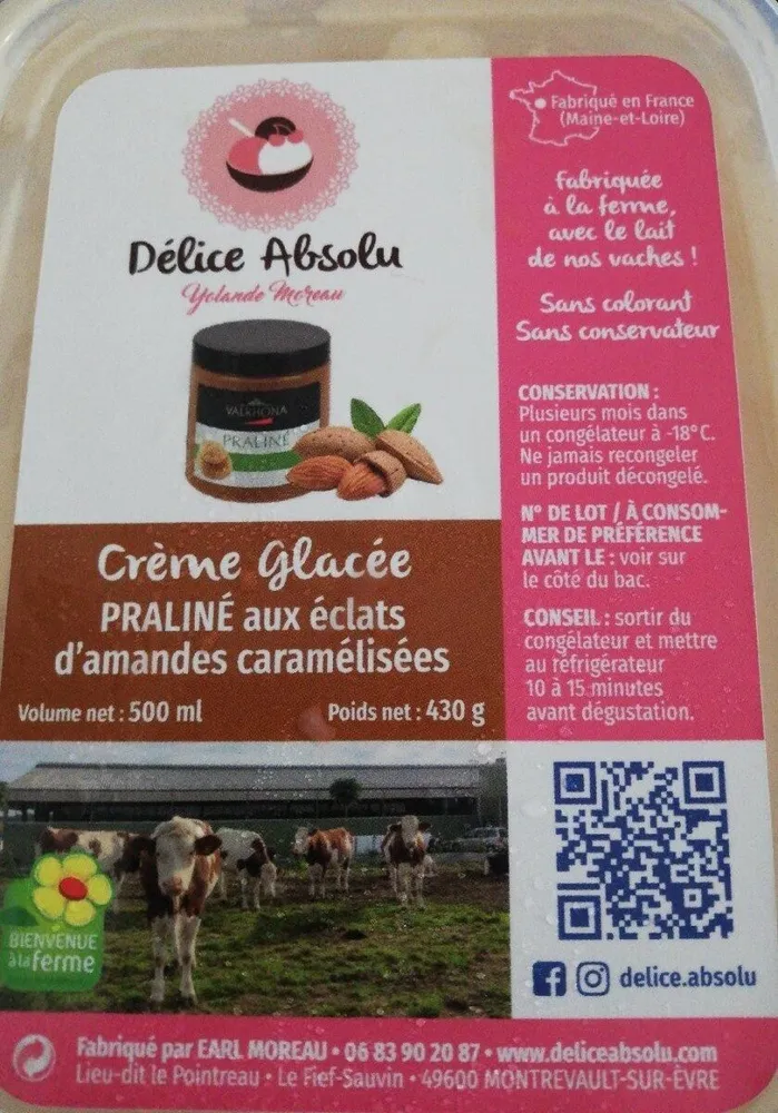 Crème glacée Praliné aux éclats d'amendes caramélisées