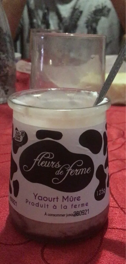 Yaourt Mûre