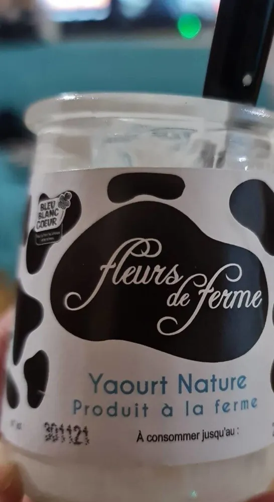 Yaourt nature