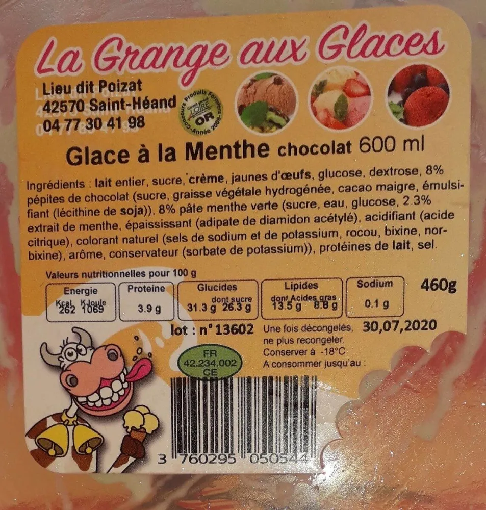Glace à la menthe chocolat