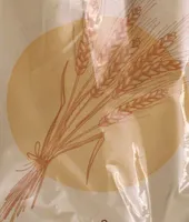 Fettuccine