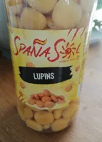 Lupins