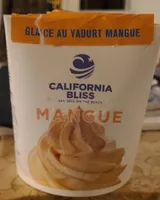 Glace au yaourt mangue