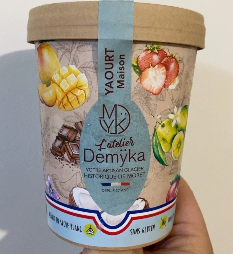 Glace yaourt maison