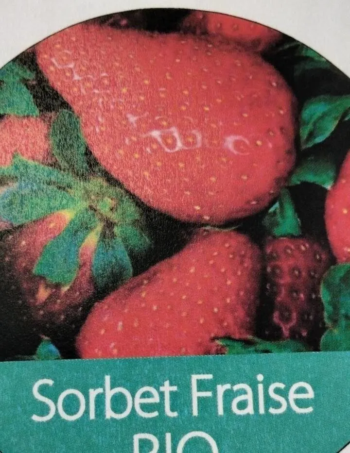 Sorbet fraise bio