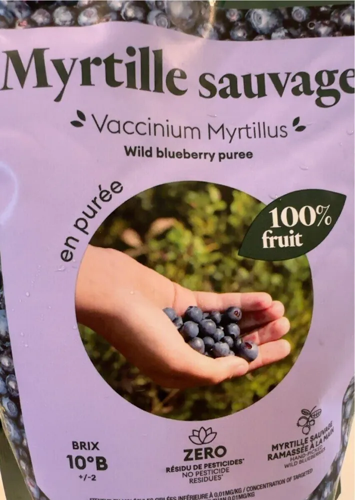 Myrtille sauvage en purée