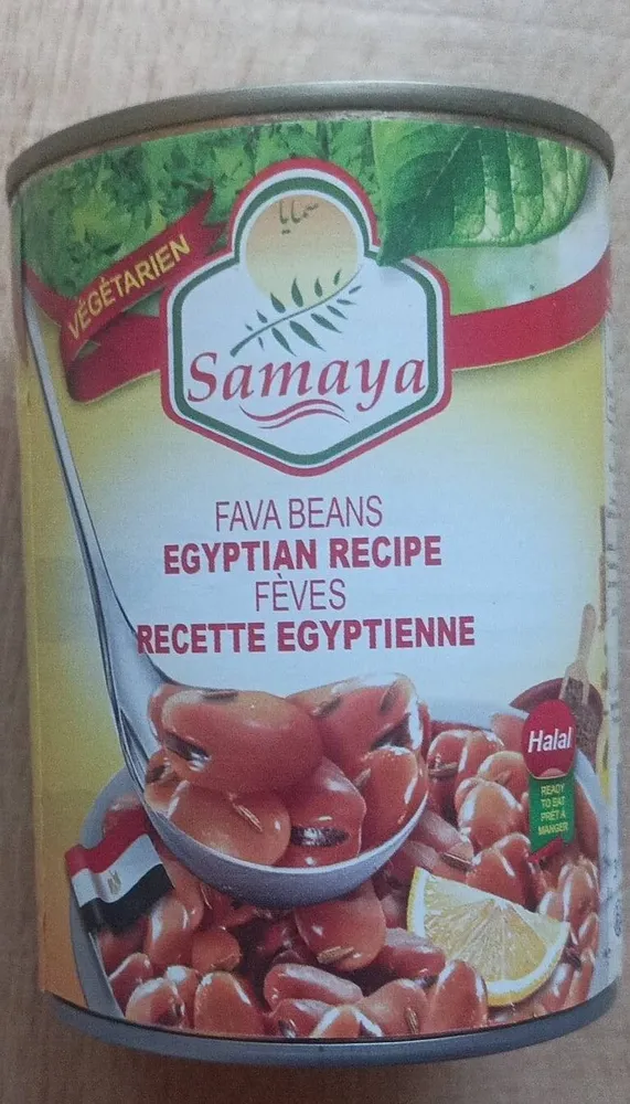 فول مدمس