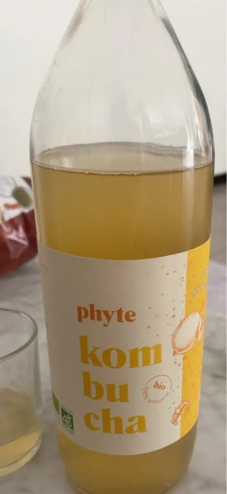 kombucha citron gingembre