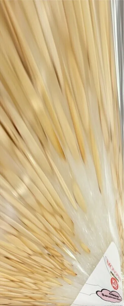 Onigiri Saumon Mayo