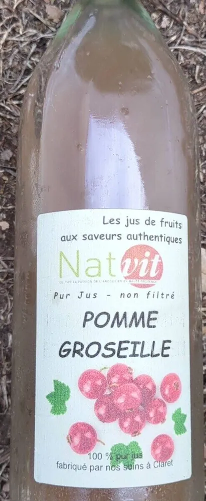 Pomme groseille
