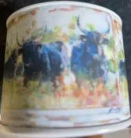 Fleur de sel de camargue
