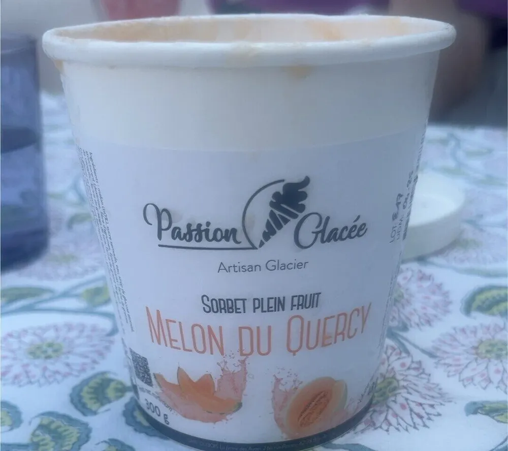 Sorbet plein fruit melon
