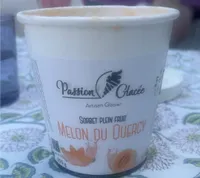 Sorbet plein fruit melon