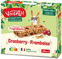 Barres céréalières à la cranberry et à la framboise