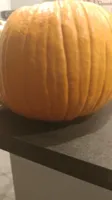 Citrouille