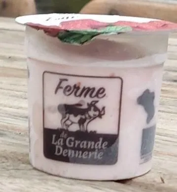 Glace bio fromage blanc framboise