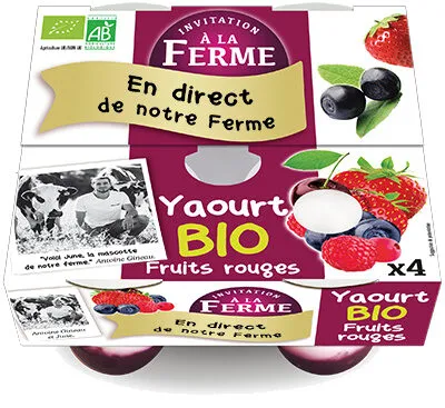 Yaourt aux fruits rouges