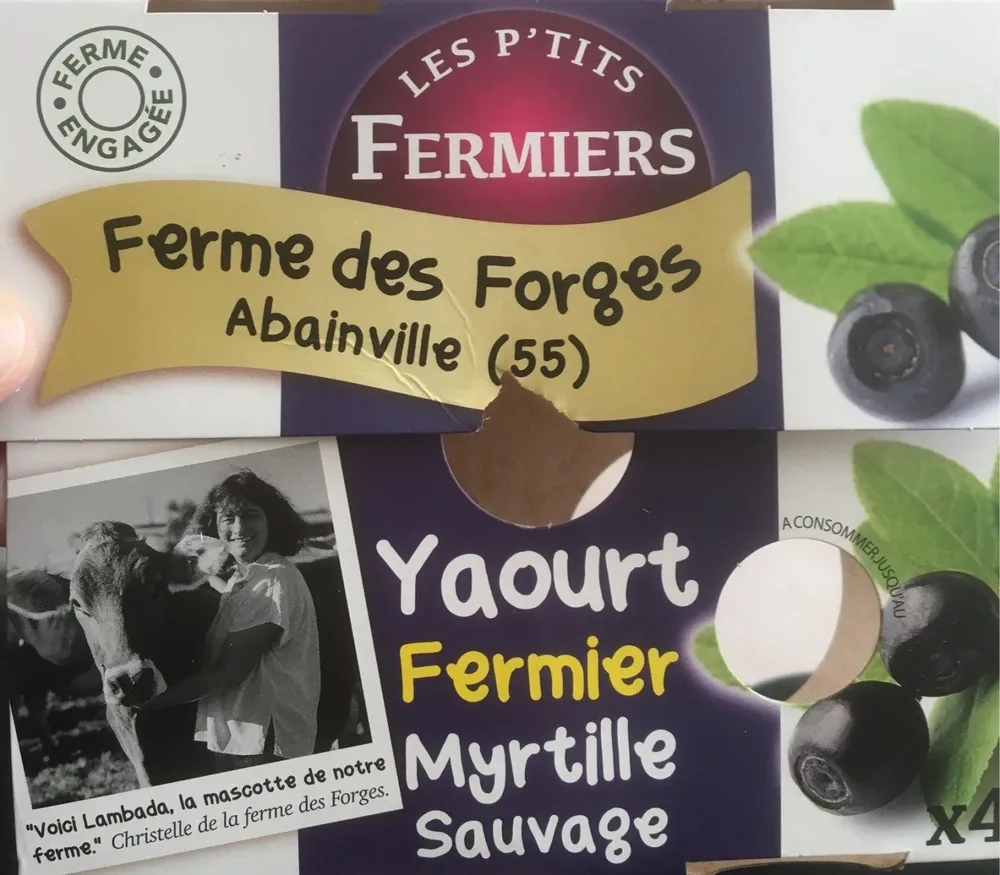 Yaourt fermier myrtille sauvage