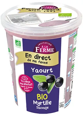 Yaourt à la Myrtille