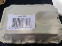 Œuf calibre gros