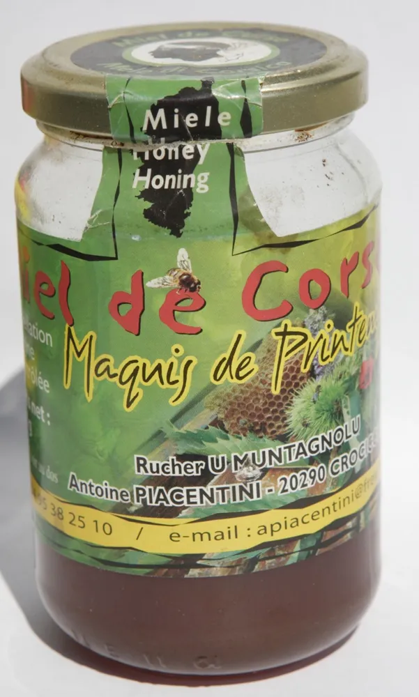 Miel de Corse, maquis de printemps