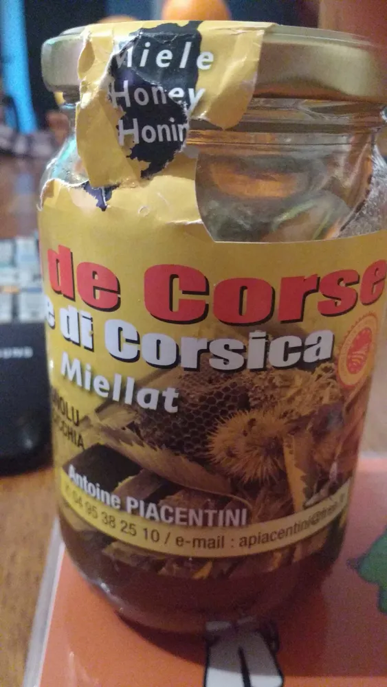 Miel de Corse - Miellat du Maquis