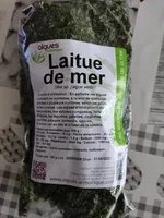 Laitue de Mer