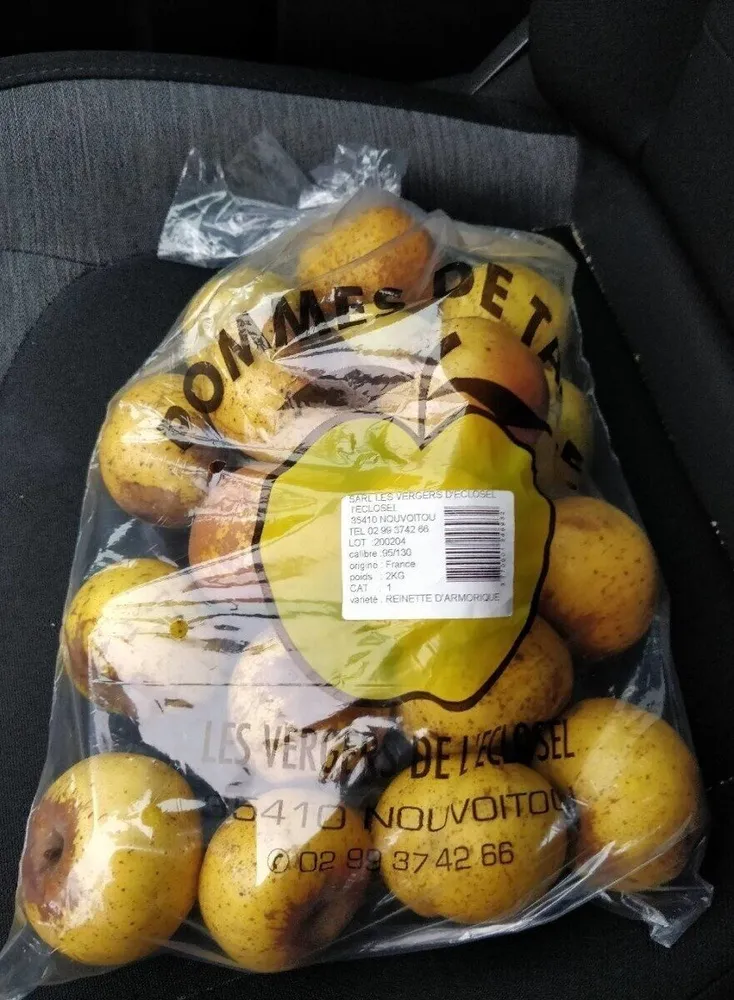 Pommes de table