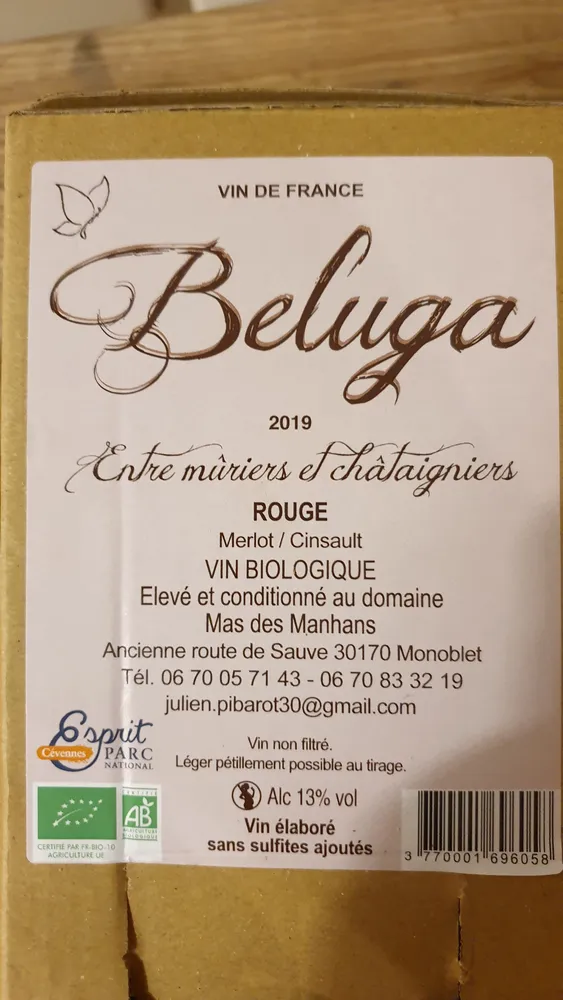 Beluga