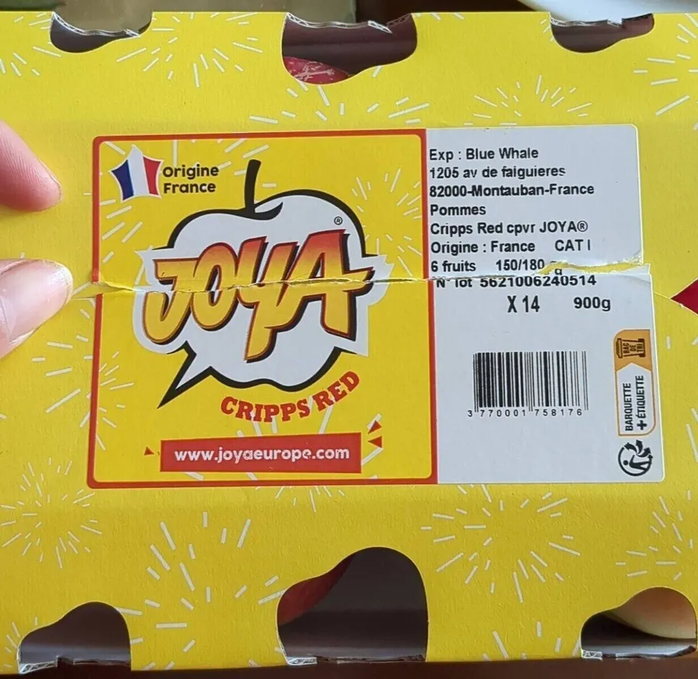 Pomme Cripps Red JOYA