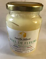 Miel de fleurs de Printemps