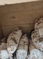 Saucisson sec artisanal
