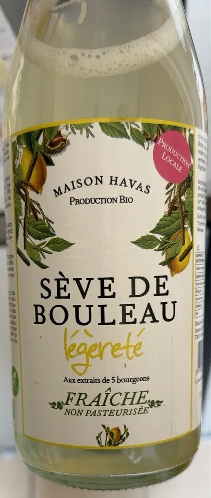 Sève de Bouleau