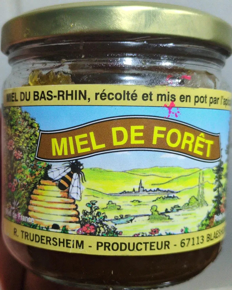 MIEL DE FORÊT