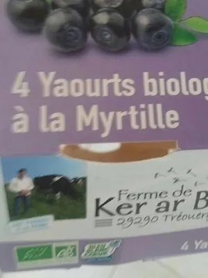 Yaourt biologique à la myrtille