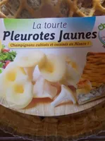 Tourte pleurotes jauned