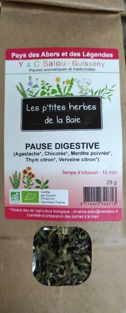 Pause digestive