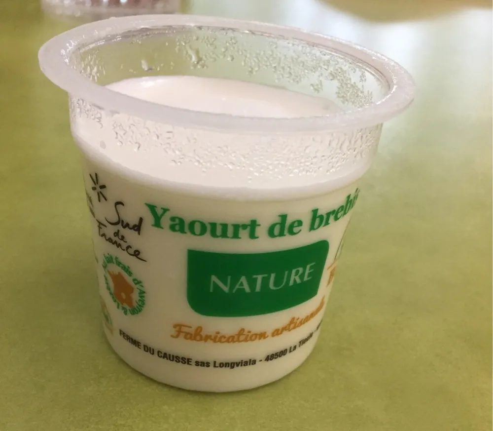 Yaourt de Brebis Nature
