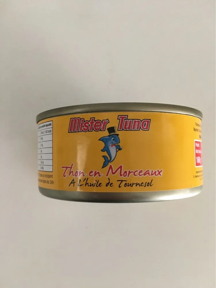 Thon en Morceaux