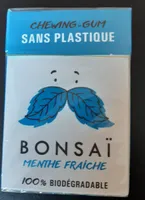 Chewing-gum menthe forte