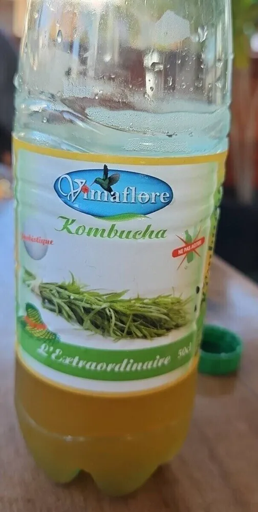 Kombucha l'extraordinaire