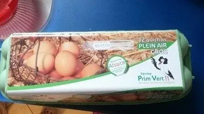 Oeufs frais plein air