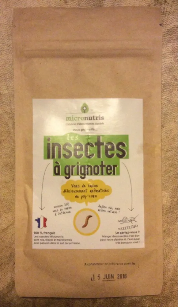 Les insectes à grignoter