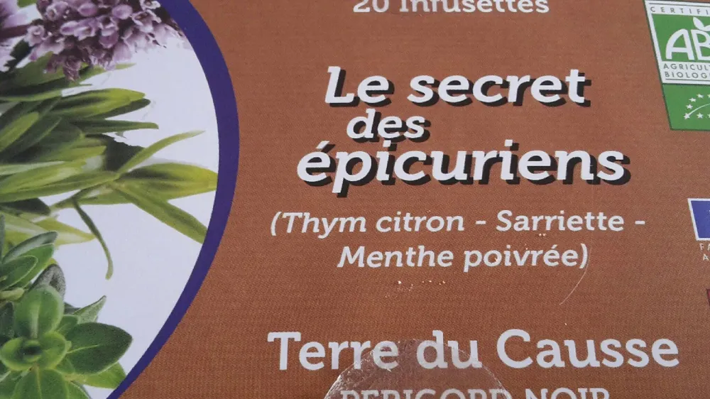 infusion thym citron sarriette menthe poivrée