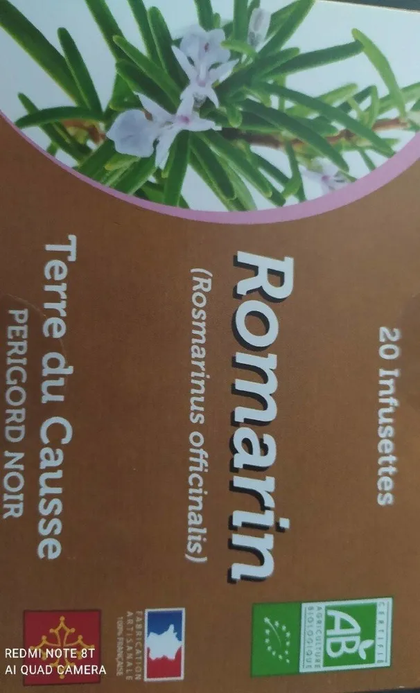 Romarin infusette