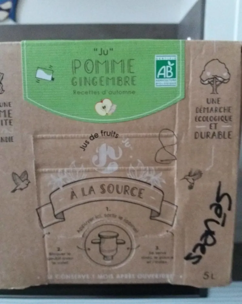 Ju pomme gingembre