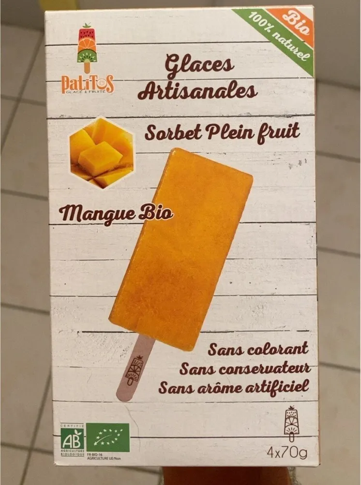 Sorbet mangue bio