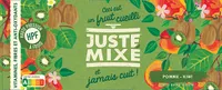 Mixé de fruit pomme kiwi x 2