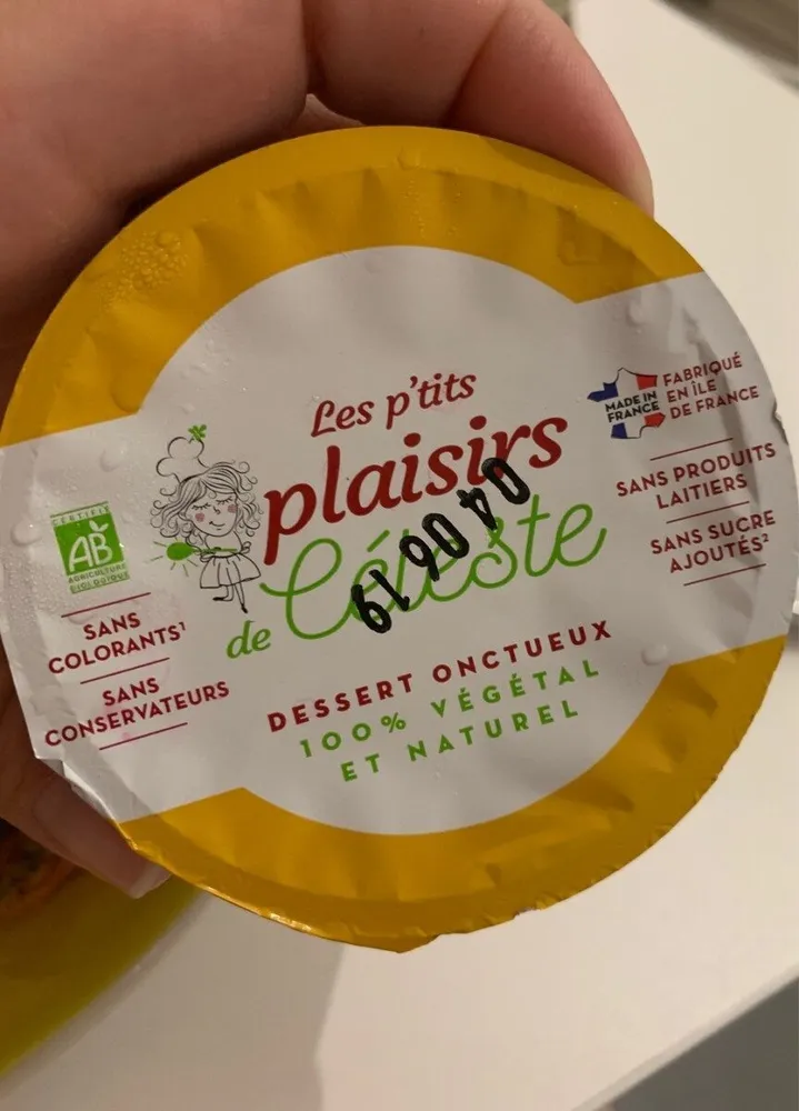 Dessert onctueux 100% vegetal et naturel