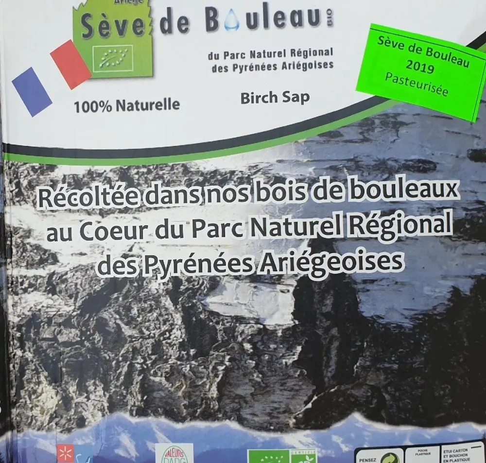 Sève de bouleau